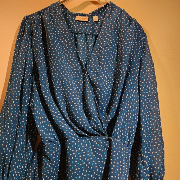 New York & Company Eva Mendes  Green White, and Tan Sheer Polkadot Blouse - Picture 9 of 15